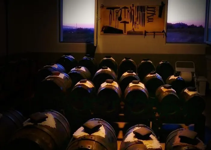 Alloggio per agriturismo E Acetaia La Vedetta *